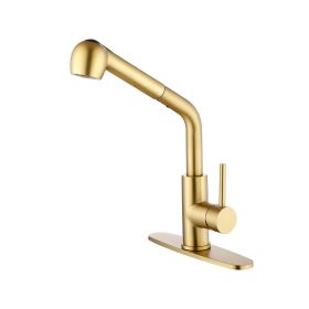 Single Handle Kitchen Sink Faucet with Pull Out Sprayer